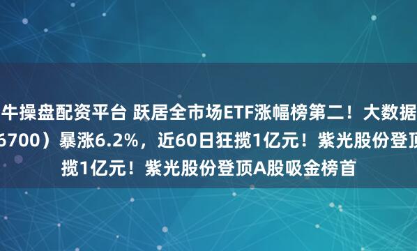 牛操盘配资平台 跃居全市场ETF涨幅榜第二!大数据ETF华宝(516700)暴涨6.2%,近60日狂揽1亿元!紫光股份登顶A股吸金榜首
